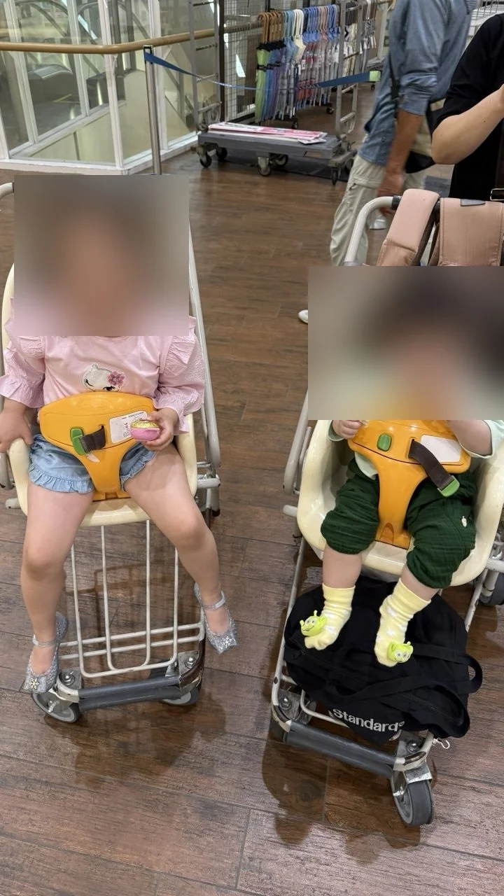 좌석이 두 개 달린 쇼핑카트에 나란히 앉은 두 아이